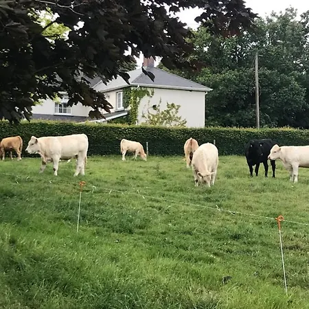 Farm stay Blackrath Farmhouse *
