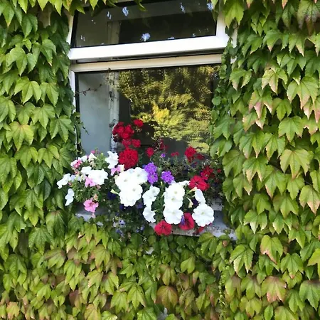 Blackrath * Dun Luain