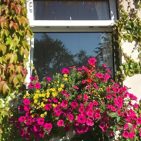 Blackrath Alojamento de Turismo Rural